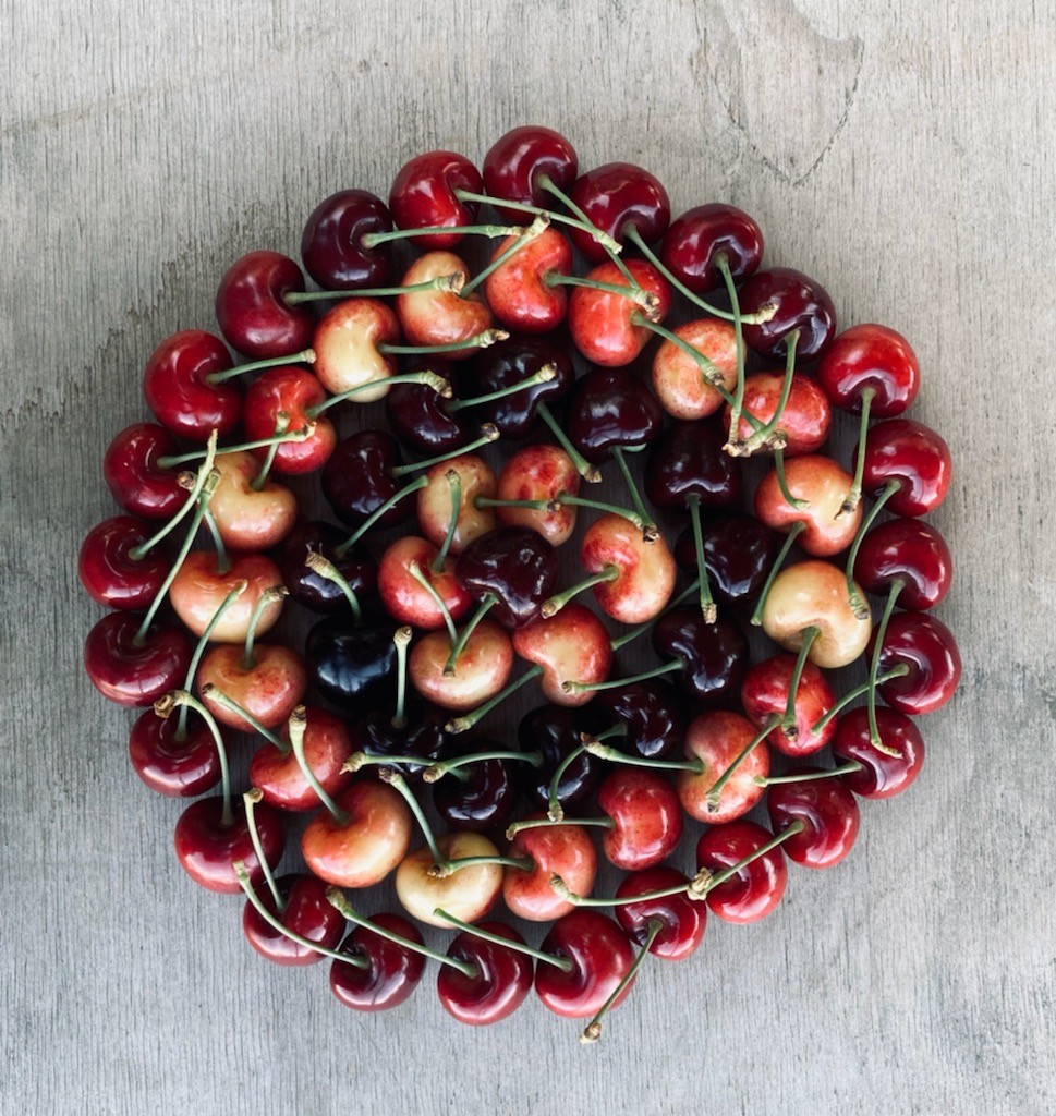 Close-up of ripe cherries at Diablo Cherries