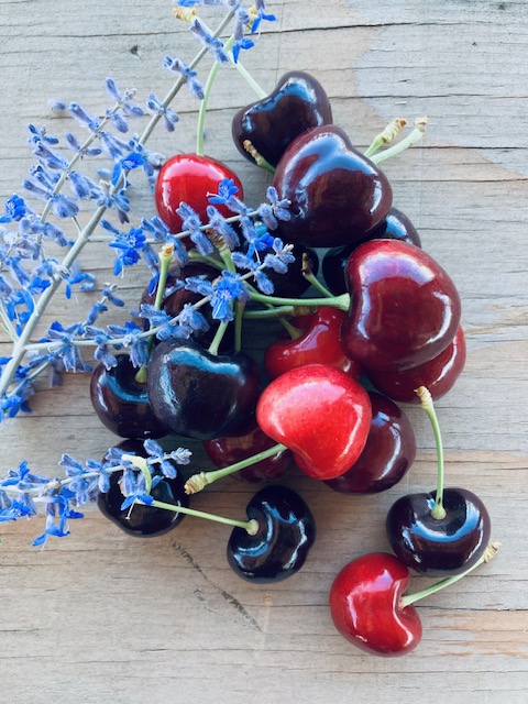 Fresh-picked cherries in a lavender bowl at Diablo Cherries